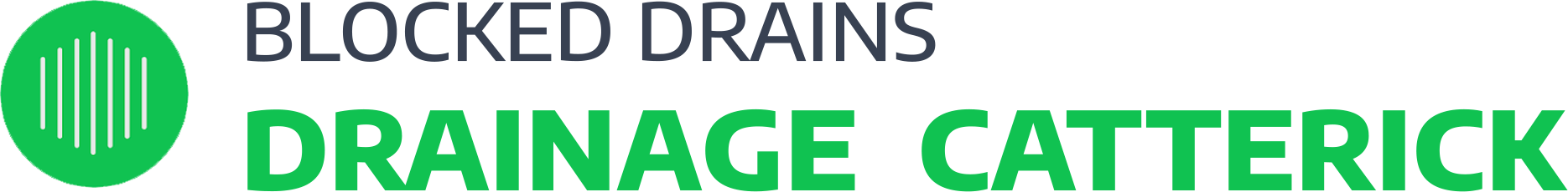 website logo